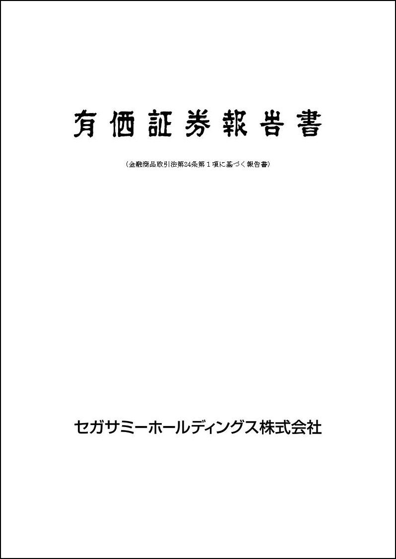 2024年3月期　第3四半期報告書