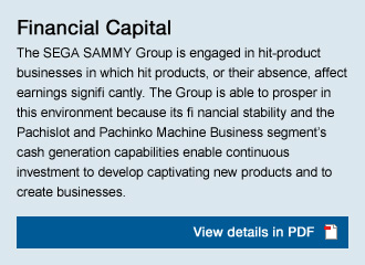 Financial Capital View details in PDF