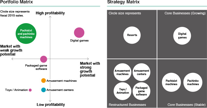 Portfolio Matrix Strategy Matrix