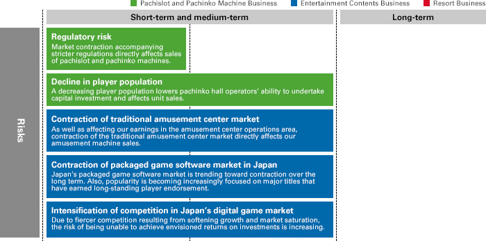 Principal Short-, Medium-, and Long-Term Risks and Opportunities