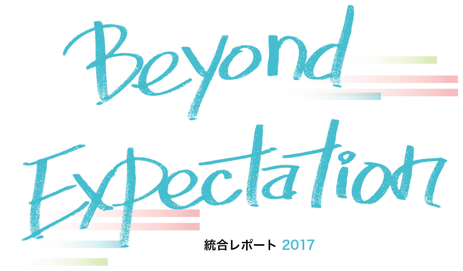 Beyond Expectation - 統合レポート2017